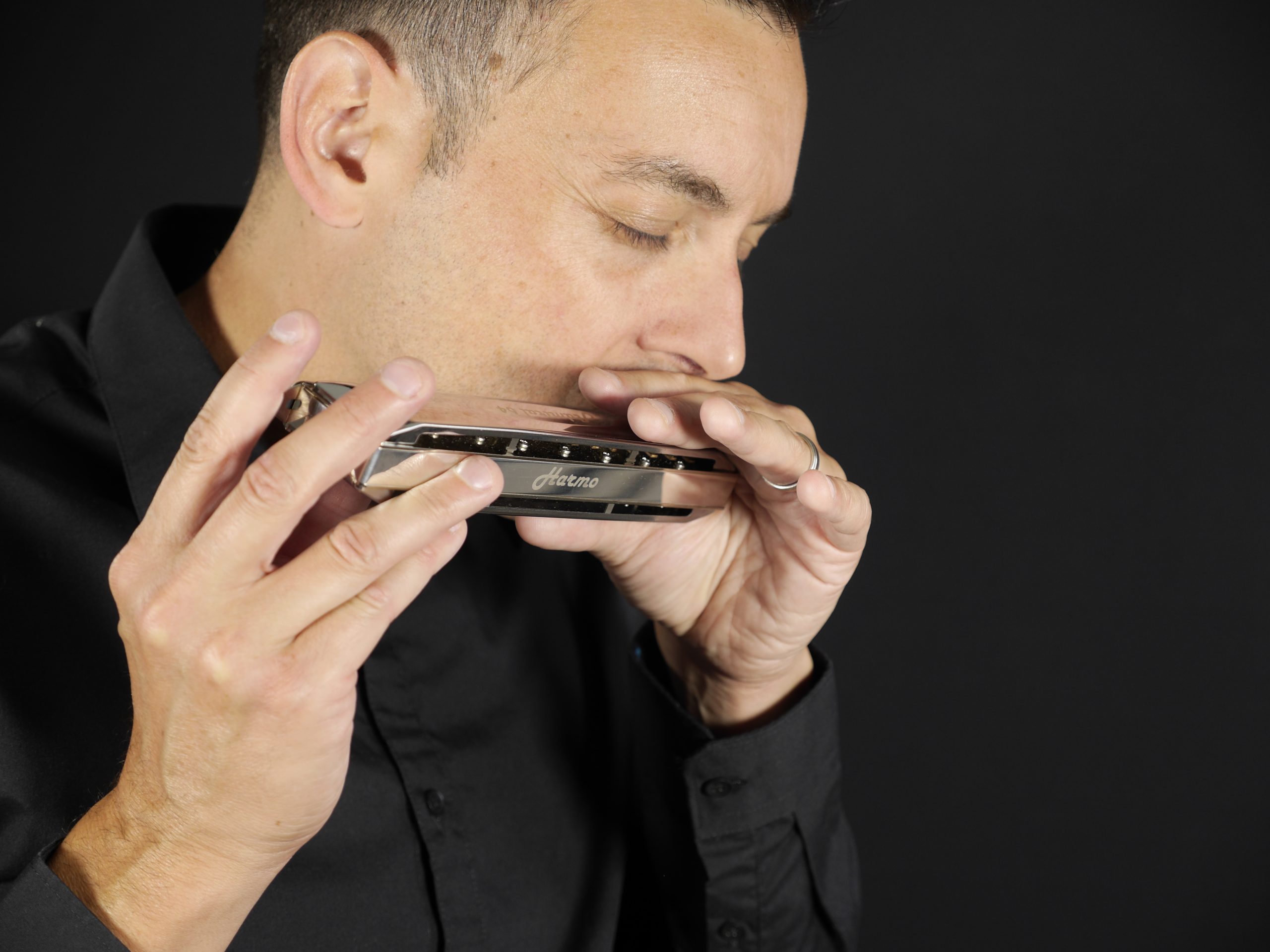 david herzhaft- professional harmonica player
