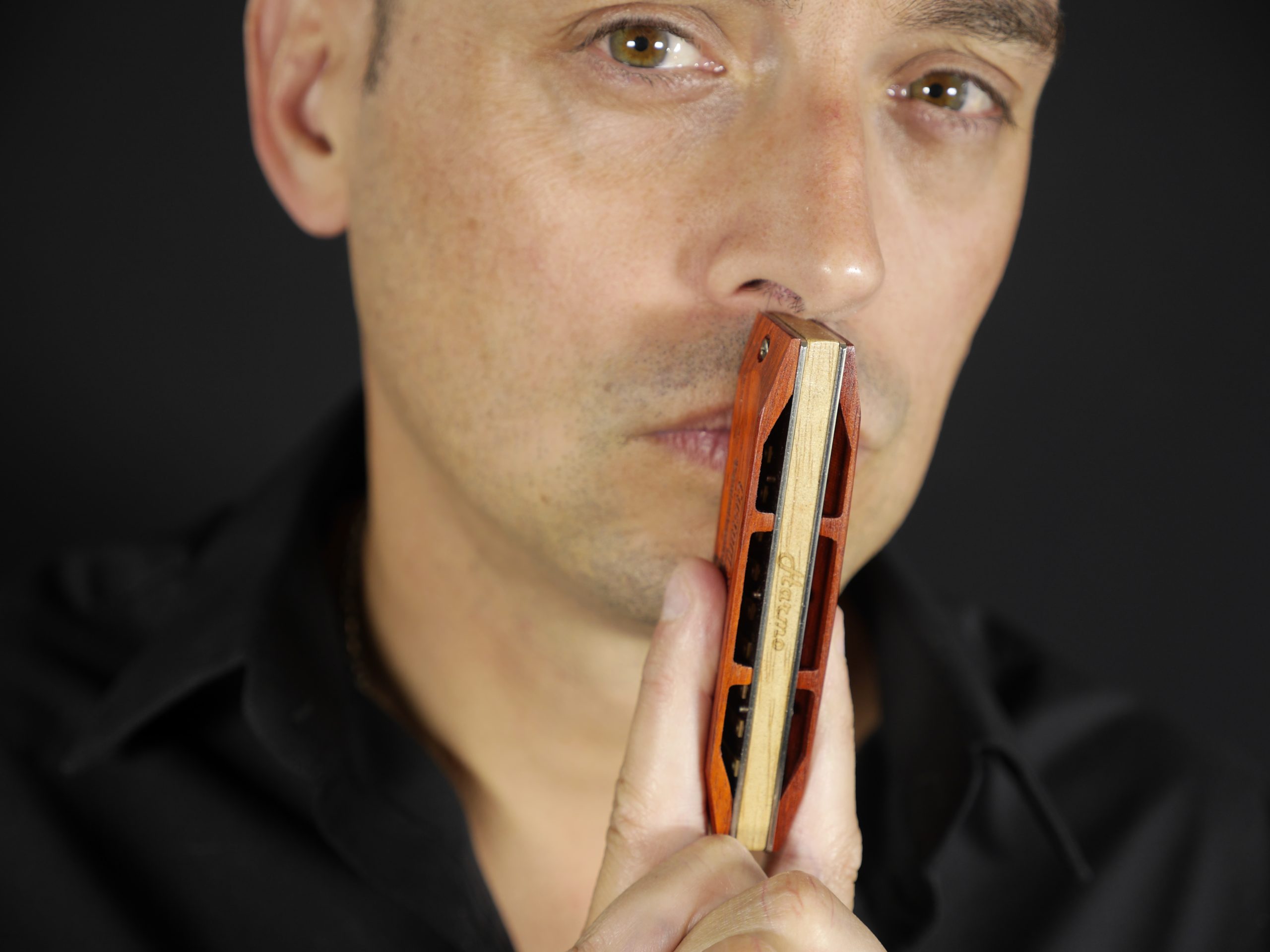 Harmonica grandmaster